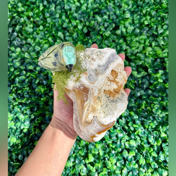 Parrot carving on Agate Geode – Symbol of Awakening & Joy - Picture 2 of 6